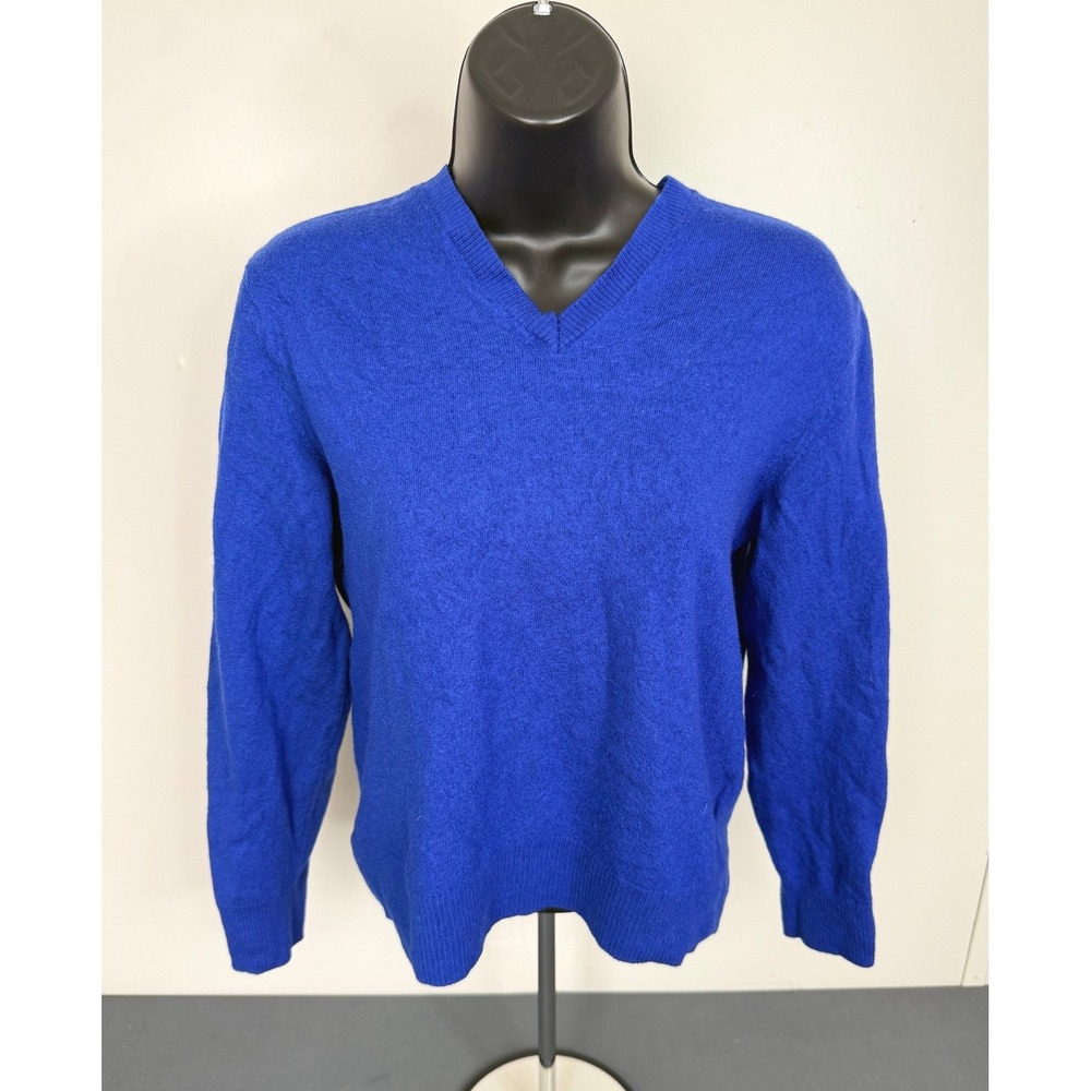GAP Women's Merino Wool V-Neck Sweater Blue Size Large Cabincore Cozycore